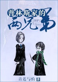 （哈利波特同人）HP普林斯家兩兄弟